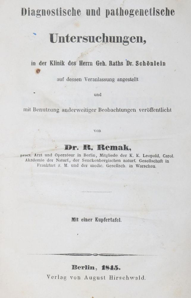 Große Abbildung Nr.1: 127-388 Remak,R.: (Aus der Sammlung Professor Dr.Dr.Johannes Büttner Teil 1)