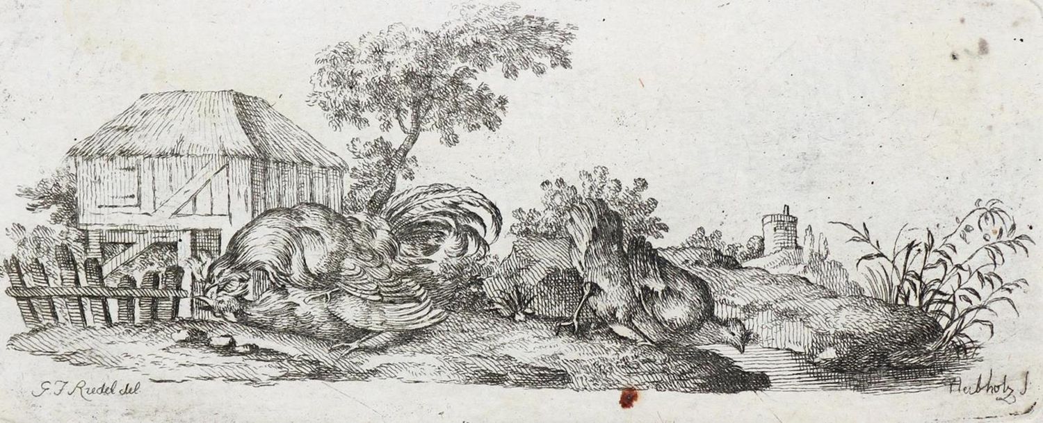 Große Abbildung Nr.1: 127-3895 Nabholz, Johann Christoph: (Künstlergraphik)