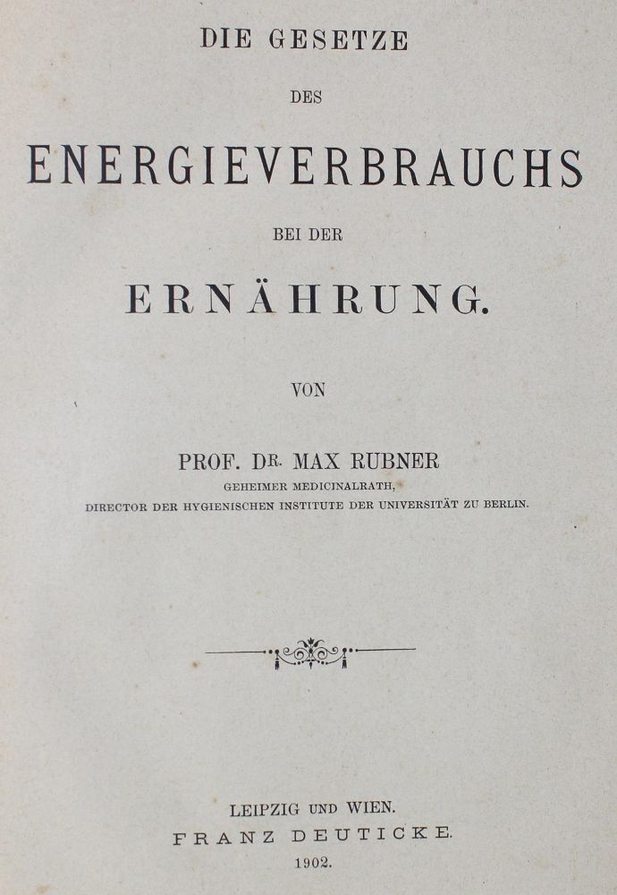 Große Abbildung Nr.1: 127-393 Rubner,M.: (Aus der Sammlung Professor Dr.Dr.Johannes Büttner Teil 1)