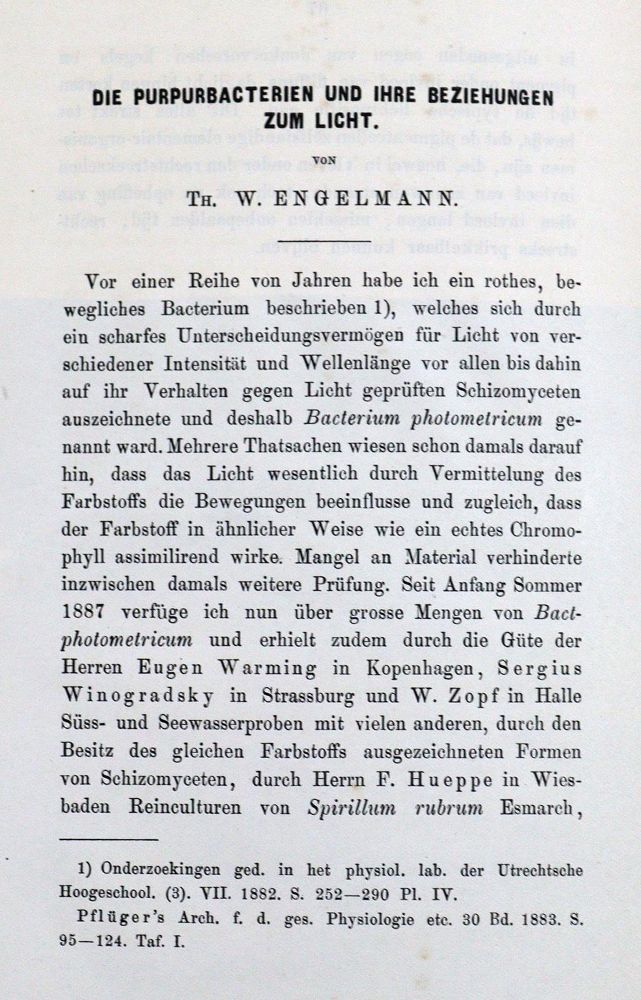 Große Abbildung Nr.5: 127-401 Sammlung: (Aus der Sammlung Professor Dr.Dr.Johannes Büttner Teil 1)