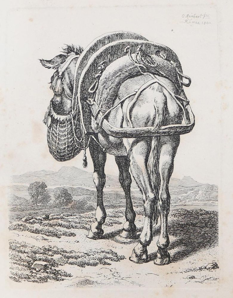 Große Abbildung Nr.1: 127-4019 Reinhart, Johann Christian: (Künstlergraphik)