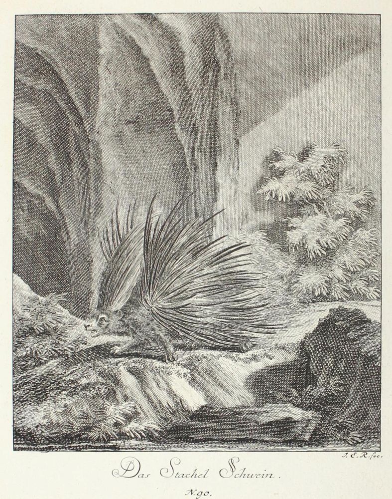 Große Abbildung Nr.1: 127-4037 Ridinger, Johann Elias: (Künstlergraphik)