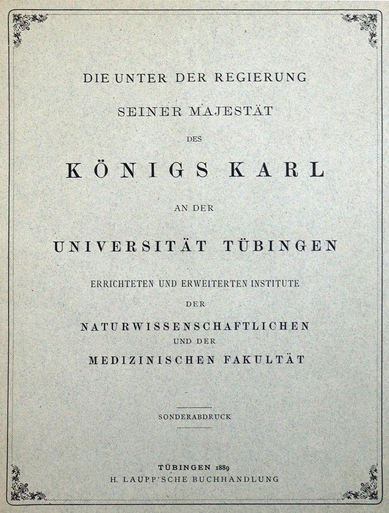 Große Abbildung Nr.2: 127-404 Sammlung: (Aus der Sammlung Professor Dr.Dr.Johannes Büttner Teil 1)