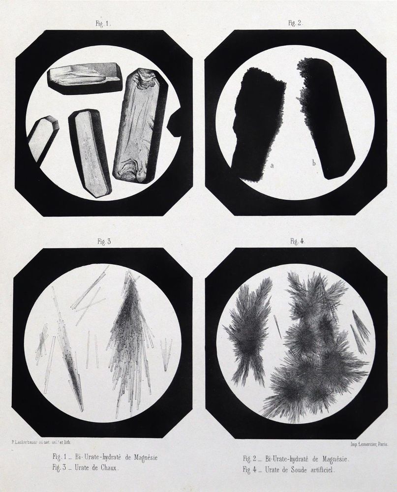 Große Abbildung Nr.3: 127-404 Sammlung: (Aus der Sammlung Professor Dr.Dr.Johannes Büttner Teil 1)