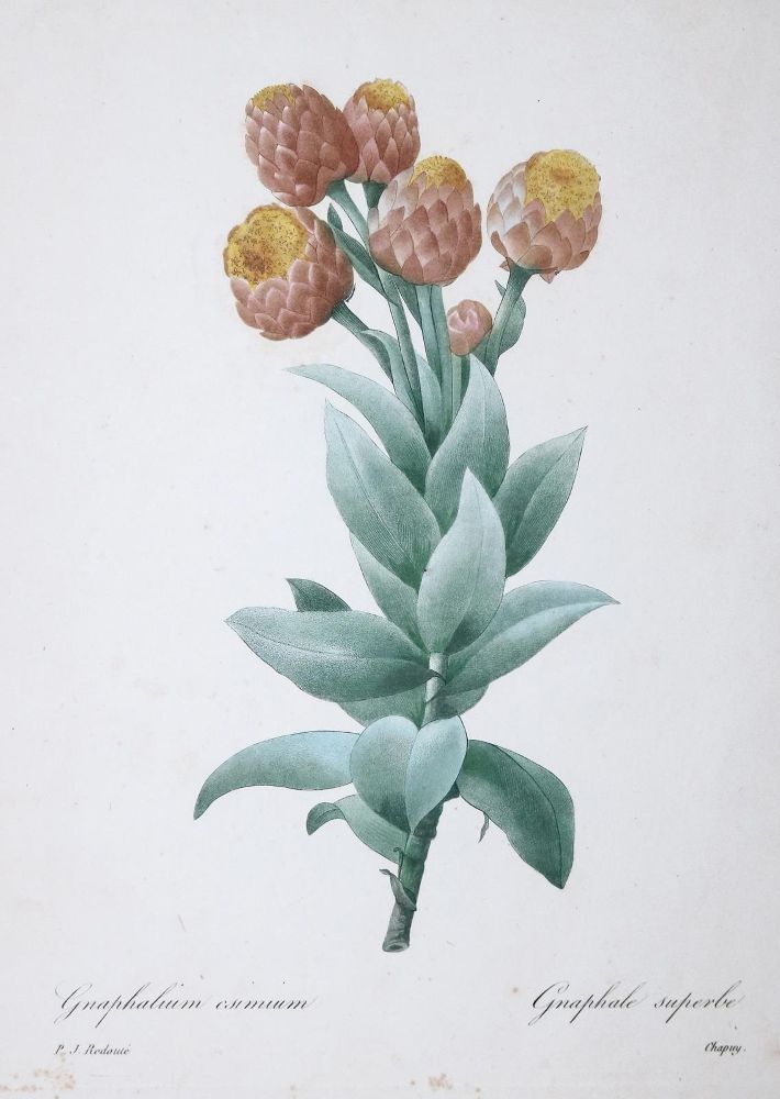 Große Abbildung Nr.1: 127-4078 Sammlung: (Künstlergraphik)