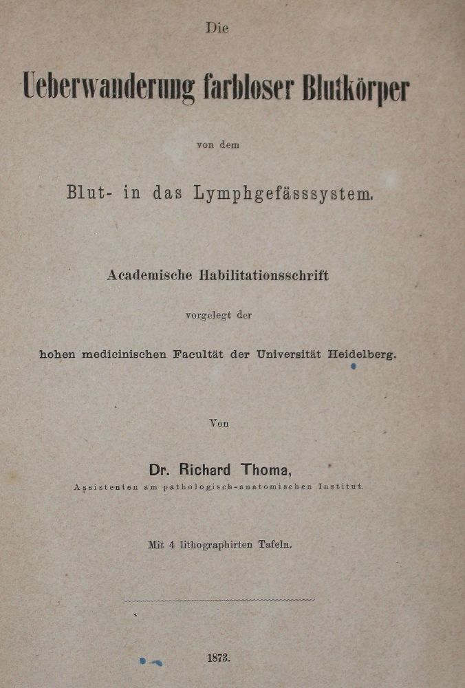 Große Abbildung Nr.1: 127-468 Thoma,R.: (Aus der Sammlung Professor Dr.Dr.Johannes Büttner Teil 1)