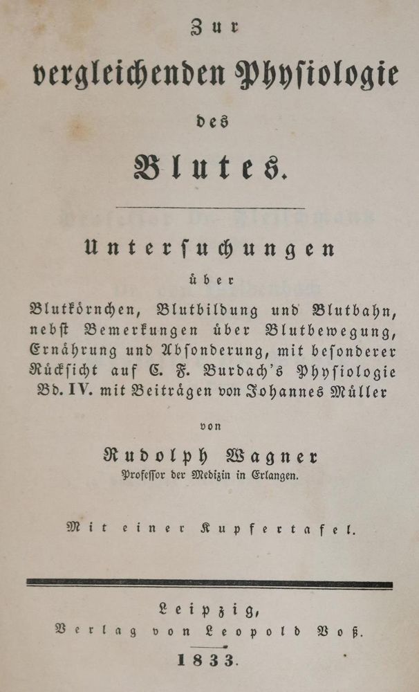 Große Abbildung Nr.1: 127-495 Wagner,R.: (Aus der Sammlung Professor Dr.Dr.Johannes Büttner Teil 1)