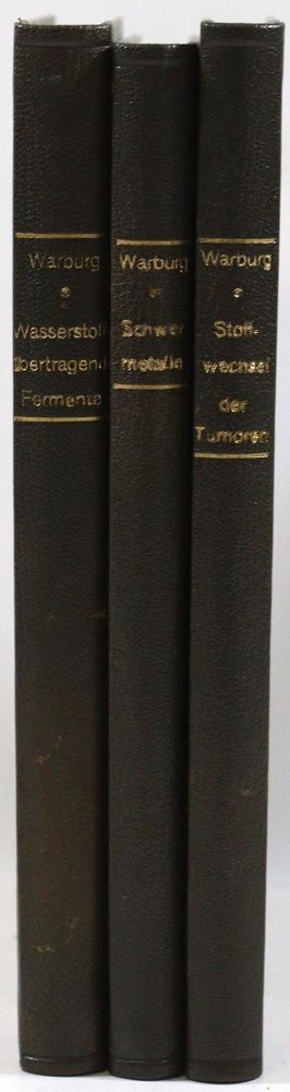 Große Abbildung Nr.2: 127-497 Warburg,O. (Hrsg.).: (Aus der Sammlung Professor Dr.Dr.Johannes Büttner Teil 1)