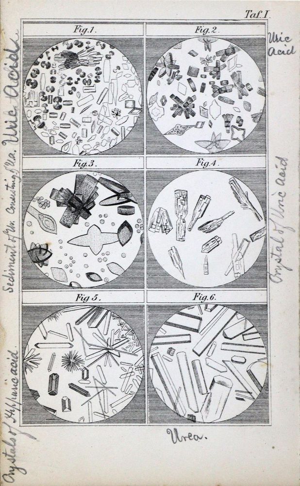 Große Abbildung Nr.4: 127-500 Whewell,W.: (Aus der Sammlung Professor Dr.Dr.Johannes Büttner Teil 1)