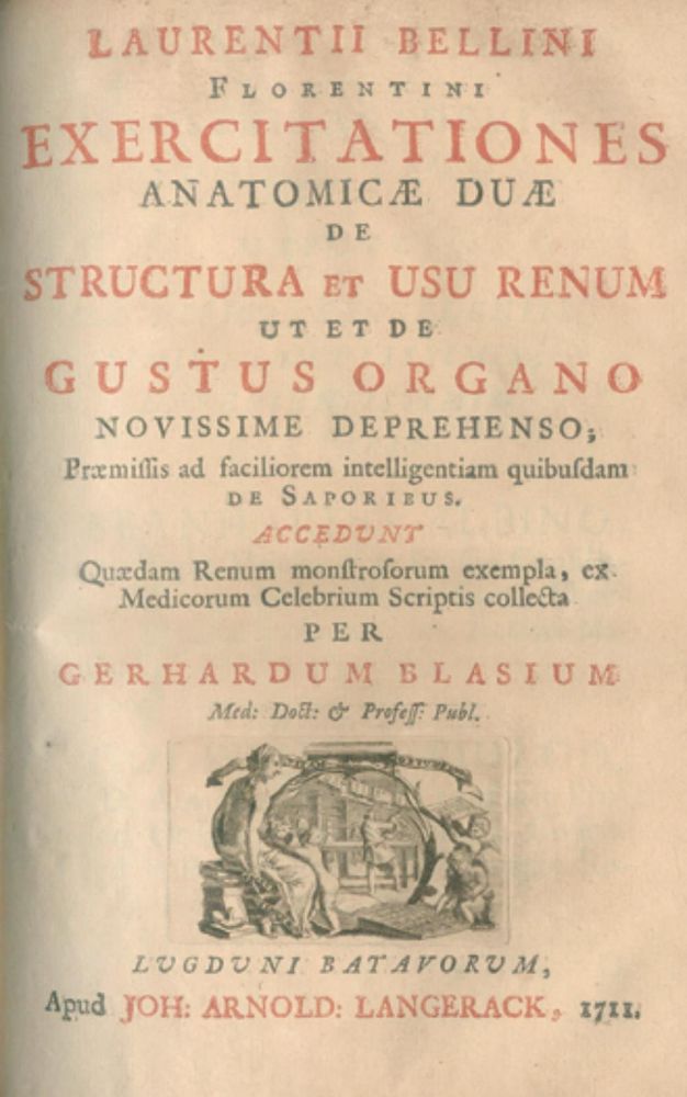 Große Abbildung Nr.2: 127-514 Bellini,L.: (ZZRückgänge Sgl. Prof. Büttner Teil 1)