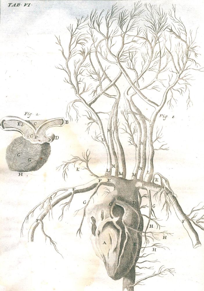 Große Abbildung Nr.3: 127-531 Craanen,T.: (ZZRückgänge Sgl. Prof. Büttner Teil 1)