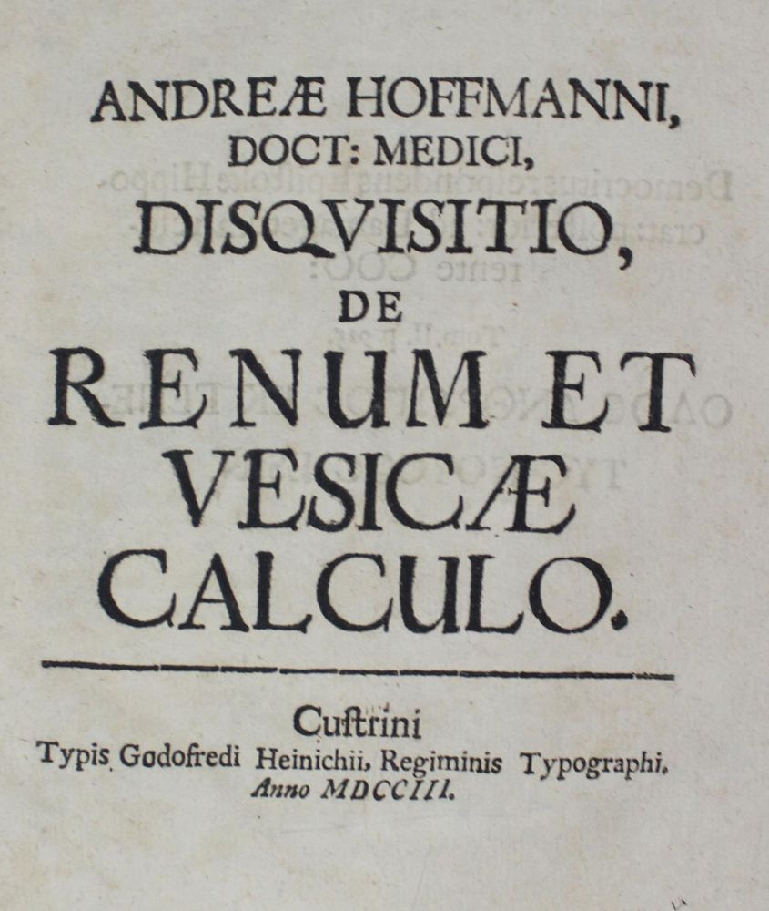 Große Abbildung Nr.1: 127-553 Hoffmann,A.: (ZZRückgänge Sgl. Prof. Büttner Teil 1)