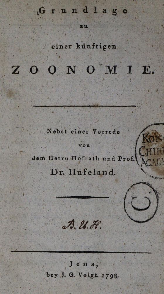 Große Abbildung Nr.1: 127-6 Anonym.: (Aus der Sammlung Professor Dr.Dr.Johannes Büttner Teil 1)
