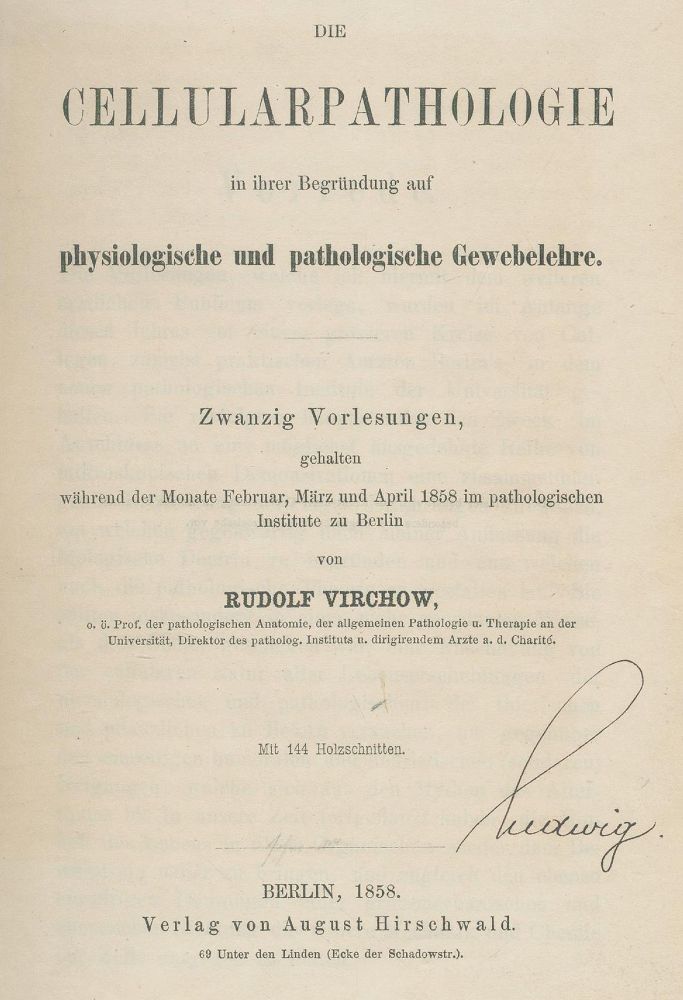 Große Abbildung Nr.1: 127-604 Virchow,R.: (ZZRückgänge Sgl. Prof. Büttner Teil 1)