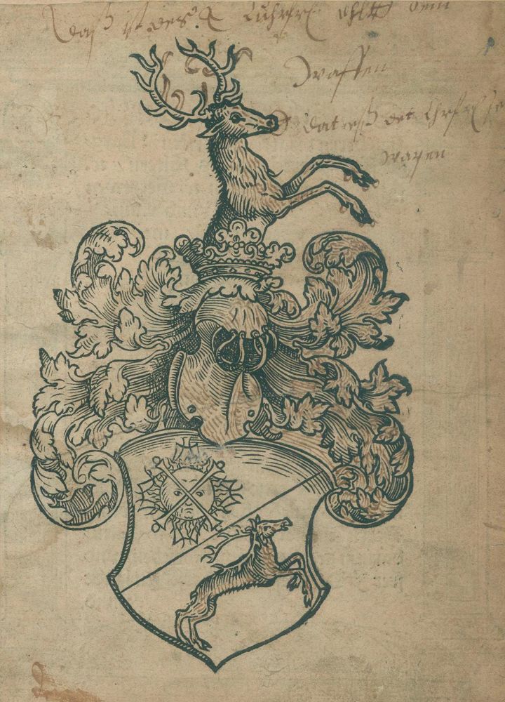 Große Abbildung Nr.1: 127-765 (Plateanus,T.: (Medizin)