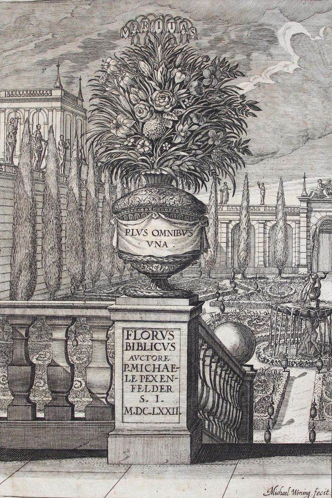 Große Abbildung Nr.1: 127-780 Pexenfelder,M.: (Alte Drucke, Handschriften und Theologie)