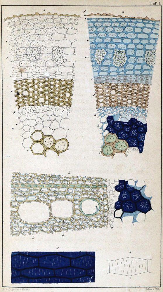 Große Abbildung Nr.1: 127-82 Sammlung: (Chemie)