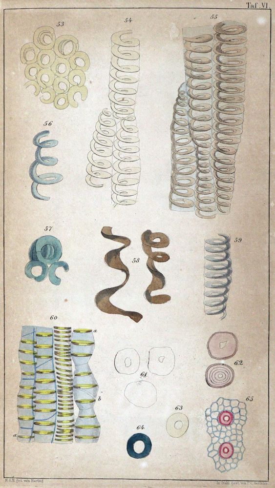 Große Abbildung Nr.2: 127-82 Sammlung: (Chemie)
