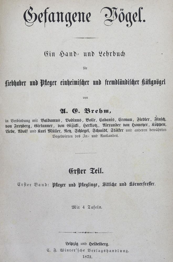 Große Abbildung Nr.32: 127-885 Konvolut: (Varia)