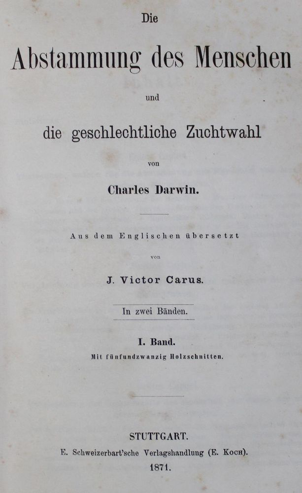 Große Abbildung Nr.1: 127-90 Darwin,C.: (Aus der Sammlung Professor Dr.Dr.Johannes Büttner Teil 1)