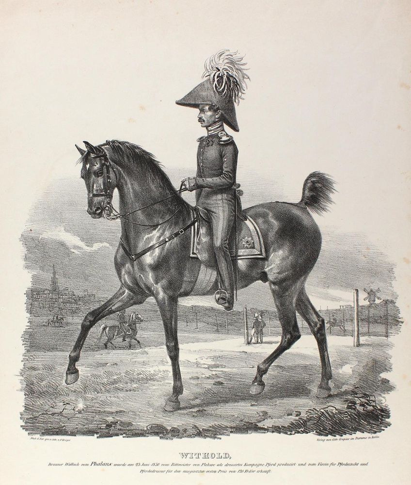 Große Abbildung Nr.1: 127-918 Portrait.: (Militaria, Plehwe)