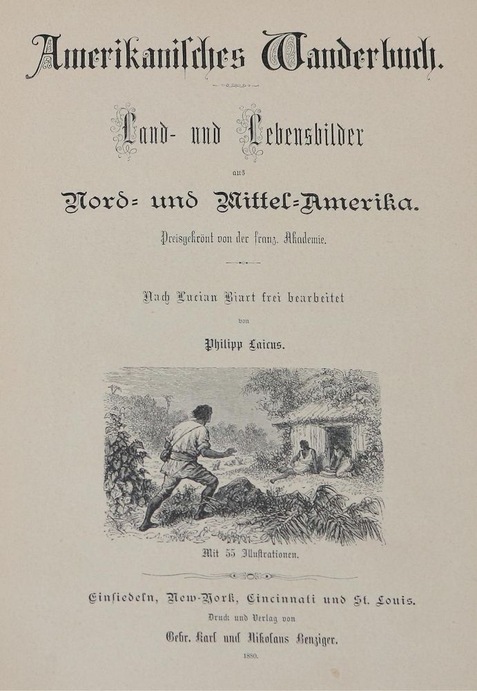 Große Abbildung Nr.41: 127-954 Rückgänge: (Varia)