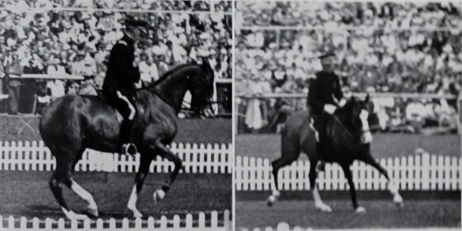 Große Abbildung Nr.2: 127-963 Rau,G.: (Sport, Reitsport)