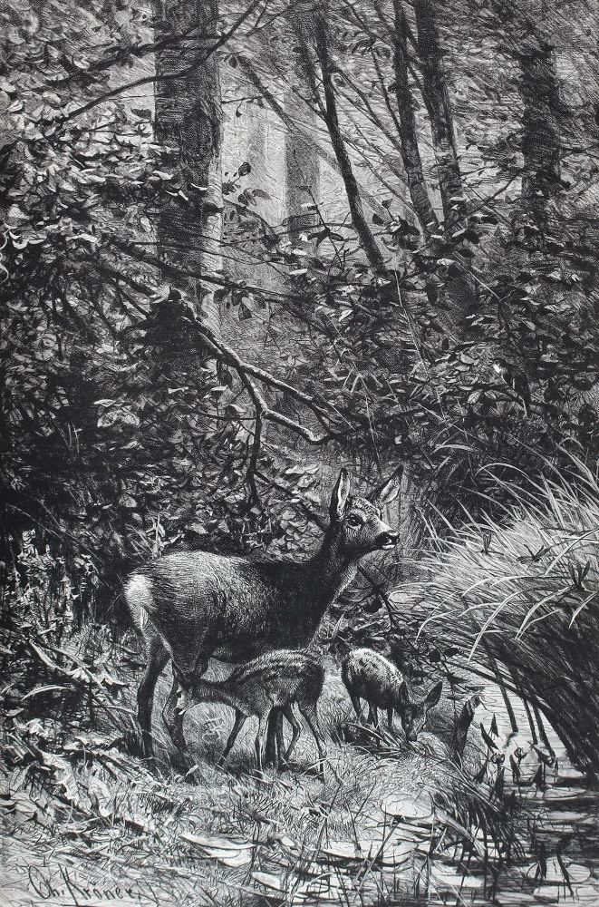 Große Abbildung Nr.1: 127-977 Corneli,R.: (Jagd)