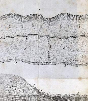 Bild Nr.2: 127-1008 Thaer,A.: (Land- und Forstwirtschaft, Landwirtschaft)
