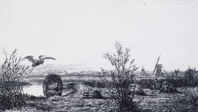 Bild Nr.2: 127-1035 Etcher, The,: (Kunstwissenschaft)