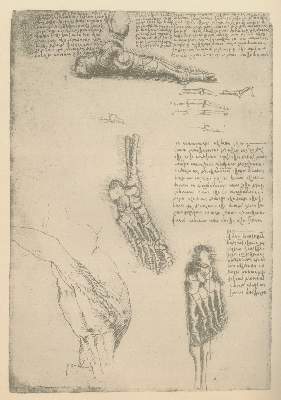Bild Nr.2: 127-1044 Piumati,G.: (Leonardo da Vinci)