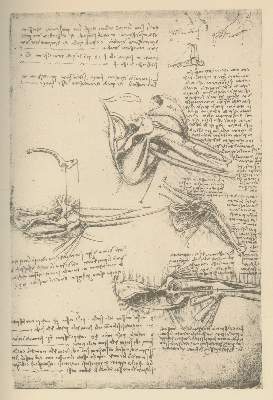 Bild Nr.3: 127-1044 Piumati,G.: (Leonardo da Vinci)