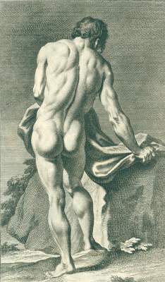 Bild Nr.11: 127-1062 Preissler,J.D.: (Kunstwissenschaft)