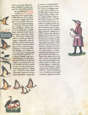 Bild Nr.1: 127-1089 Friedrich II.: (Faksimile)