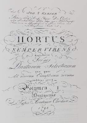 Bild Nr.1: 127-1102 Merian,M.S.: (Faksimile)