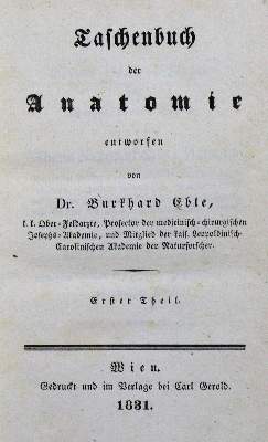 Bild Nr.1: 127-118 Eble,B.: (Aus der Sammlung Professor Dr.Dr.Johannes Büttner Teil 1)