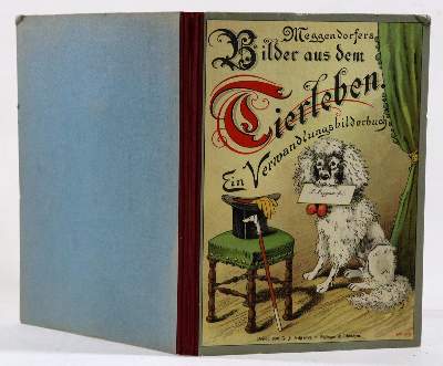 Bild Nr.3: 127-1193 Beck,J.: (Meggendorfer)