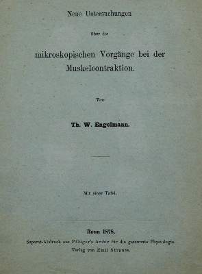 Bild Nr.2: 127-123 Engelmann,T.W.: (Aus der Sammlung Professor Dr.Dr.Johannes Büttner Teil 1)