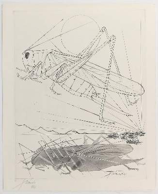 Bild Nr.21: 127-1333 Apocalypse de Saint Jean. (Dali)