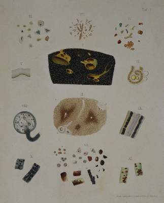 Bild Nr.1: 127-136 Frerichs,F.T.: (Aus der Sammlung Professor Dr.Dr.Johannes Büttner Teil 1)