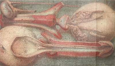 Bild Nr.2: 127-1487 Daran,J.: (Medizin, Chirurgie)