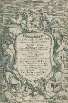 Bild Nr.3: 127-1514 Aldrovandi,U.,: (Zoologie, Fische)