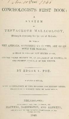 Bild Nr.2: 127-1519 Poe,E.A.: (Zoologie, Muscheln)