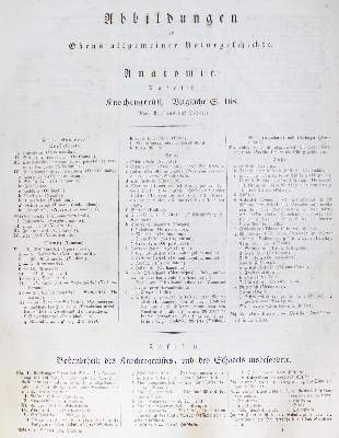 Bild Nr.1: 127-1520 Oken,(L.).: (Zoologie)