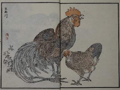 Bild Nr.1: 127-1526 Bairei,K.: (Zoologie, Vögel)