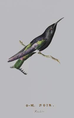 Bild Nr.1: 127-1528 Descourtilz,J.T.: (Zoologie, Vögel, Faksimile)