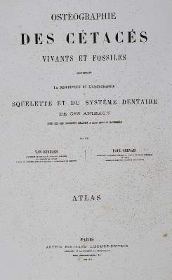 Bild Nr.3: 127-1529 Beneden,P.J. van u. R.Gervais.: (Zoologie, Wale)