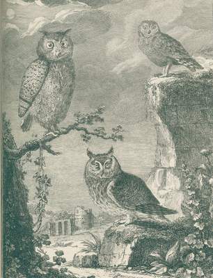 Bild Nr.1: 127-1571 Encyclopedie: (Verschiedene Gebiete - Varia, Uhren, Hydraulik)