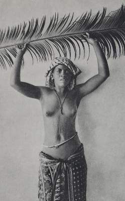Bild Nr.1: 127-1578 Fonck,H.: (Afrika)