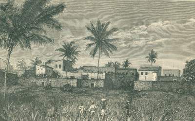 Bild Nr.3: 127-1587 Peters,C.: (Afrika)